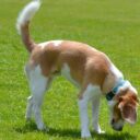 リスペクトとは、どういうことか。｜古賀史健｜note